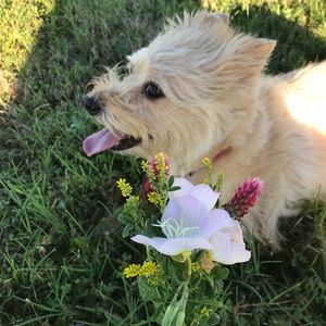 Meet your Posher, Becky